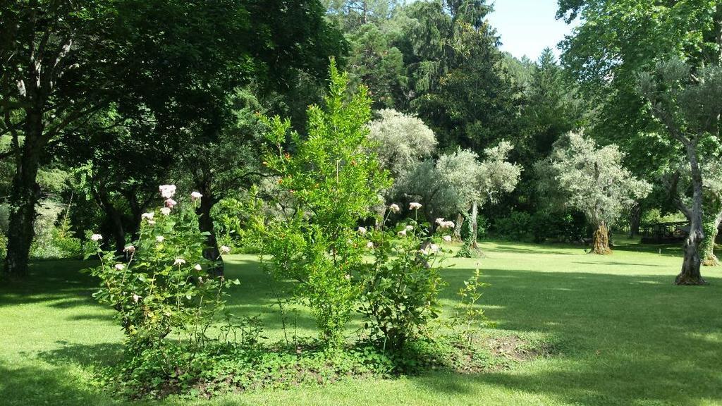 Rancho La Herradura Arenas de San Pedro Værelse billede