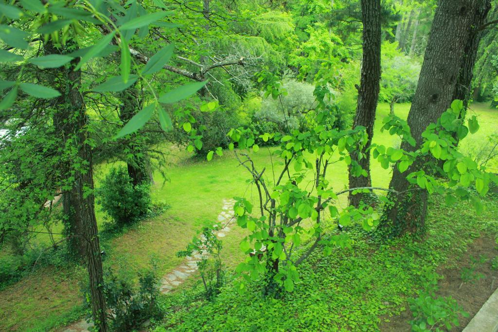 Rancho La Herradura Arenas de San Pedro Værelse billede